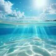 ヒメ日記 2025/08/16 11:33 投稿 心愛(ここあ) 高知デリヘル倶楽部 人妻熟女専門店