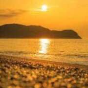 ヒメ日記 2025/08/29 16:14 投稿 心愛(ここあ) 高知デリヘル倶楽部 人妻熟女専門店