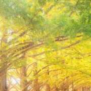 ヒメ日記 2025/10/16 16:00 投稿 心愛(ここあ) 高知デリヘル倶楽部 人妻熟女専門店