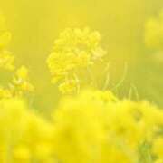 ヒメ日記 2026/02/17 12:14 投稿 心愛(ここあ) 高知デリヘル倶楽部 人妻熟女専門店