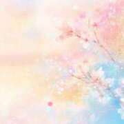 ヒメ日記 2026/02/17 14:21 投稿 心愛(ここあ) 高知デリヘル倶楽部 人妻熟女専門店