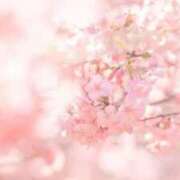 ヒメ日記 2026/03/02 18:52 投稿 心愛(ここあ) 高知デリヘル倶楽部 人妻熟女専門店