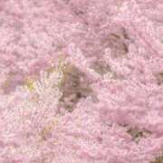 ヒメ日記 2026/04/03 14:30 投稿 心愛(ここあ) 高知デリヘル倶楽部 人妻熟女専門店