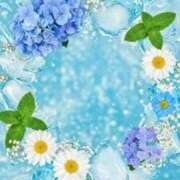 ヒメ日記 2026/04/14 13:32 投稿 心愛(ここあ) 高知デリヘル倶楽部 人妻熟女専門店