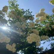 ヒメ日記 2025/07/12 17:59 投稿 るる 舐めフェチの会