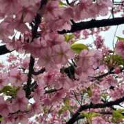 ヒメ日記 2025/03/10 18:20 投稿 三橋 熟女の風俗最終章　鶯谷店