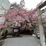 ヒメ日記 2025/03/20 22:53 投稿 三橋 熟女の風俗最終章　鶯谷店