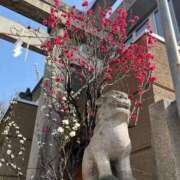 ヒメ日記 2025/03/26 16:11 投稿 三橋 熟女の風俗最終章　鶯谷店