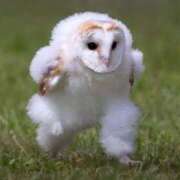 ヒメ日記 2025/04/03 13:00 投稿 三橋 熟女の風俗最終章　鶯谷店