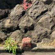 ヒメ日記 2025/04/04 19:50 投稿 三橋 熟女の風俗最終章　鶯谷店