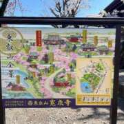 ヒメ日記 2025/04/12 12:23 投稿 三橋 熟女の風俗最終章　鶯谷店