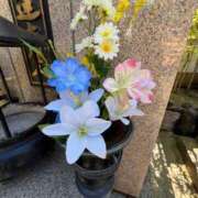 ヒメ日記 2025/07/30 08:20 投稿 三橋 熟女の風俗最終章　鶯谷店