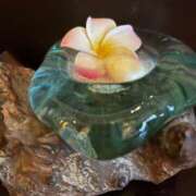 ヒメ日記 2025/08/11 09:16 投稿 三橋 熟女の風俗最終章　鶯谷店