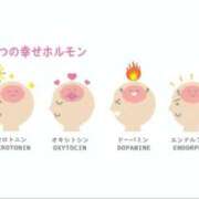 ヒメ日記 2025/08/26 10:07 投稿 三橋 熟女の風俗最終章　鶯谷店