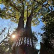 ヒメ日記 2025/09/24 08:16 投稿 三橋 熟女の風俗最終章　鶯谷店