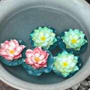 ヒメ日記 2025/10/01 09:16 投稿 三橋 熟女の風俗最終章　鶯谷店