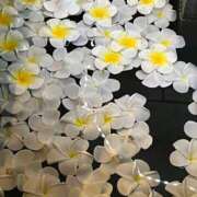 ヒメ日記 2025/10/13 10:06 投稿 三橋 熟女の風俗最終章　鶯谷店