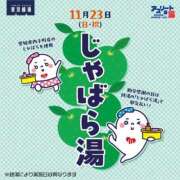 ヒメ日記 2025/11/22 13:17 投稿 三橋 熟女の風俗最終章　鶯谷店