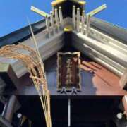 ヒメ日記 2025/11/26 09:56 投稿 三橋 熟女の風俗最終章　鶯谷店