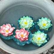 ヒメ日記 2025/11/26 10:16 投稿 三橋 熟女の風俗最終章　鶯谷店