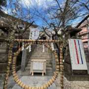 ヒメ日記 2025/12/30 09:06 投稿 三橋 熟女の風俗最終章　鶯谷店