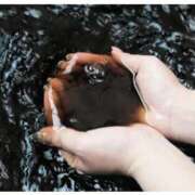 ヒメ日記 2026/01/03 08:16 投稿 三橋 熟女の風俗最終章　鶯谷店