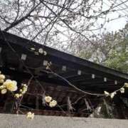 ヒメ日記 2026/02/16 08:06 投稿 三橋 熟女の風俗最終章　鶯谷店