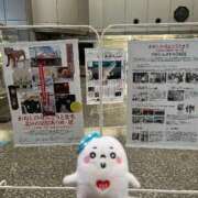 ヒメ日記 2026/02/24 08:16 投稿 三橋 熟女の風俗最終章　鶯谷店