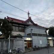 ヒメ日記 2026/02/28 07:18 投稿 三橋 熟女の風俗最終章　鶯谷店