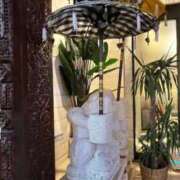 ヒメ日記 2026/03/01 08:31 投稿 三橋 熟女の風俗最終章　鶯谷店