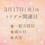 ヒメ日記 2026/03/17 08:56 投稿 三橋 熟女の風俗最終章　鶯谷店