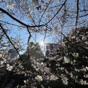 ヒメ日記 2026/03/25 07:06 投稿 三橋 熟女の風俗最終章　鶯谷店