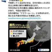 ヒメ日記 2026/05/01 08:31 投稿 三橋 熟女の風俗最終章　鶯谷店