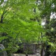 ヒメ日記 2026/05/04 07:18 投稿 三橋 熟女の風俗最終章　鶯谷店