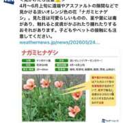 ヒメ日記 2026/05/27 08:16 投稿 三橋 熟女の風俗最終章　鶯谷店