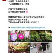ヒメ日記 2026/06/08 08:20 投稿 三橋 熟女の風俗最終章　鶯谷店