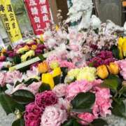 ヒメ日記 2026/08/05 08:55 投稿 三橋 熟女の風俗最終章　鶯谷店