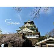 ヒメ日記 2025/04/10 15:59 投稿 星恋【セレン】 LOVEキタ兎我野店