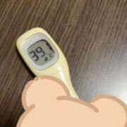 ヒメ日記 2025/03/31 07:53 投稿 ひらり 人妻本舗愛のしずく名古屋店