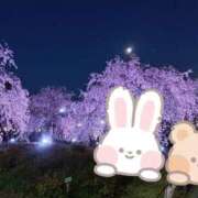 ヒメ日記 2025/04/12 13:45 投稿 ひらり 人妻本舗愛のしずく名古屋店