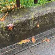 ヒメ日記 2025/04/23 13:01 投稿 ひらり 人妻本舗愛のしずく名古屋店