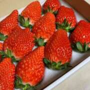 ヒメ日記 2025/05/08 09:01 投稿 ひらり 人妻本舗愛のしずく名古屋店