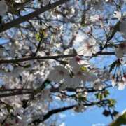 ヒメ日記 2025/04/05 07:19 投稿 らん タレントCLUB