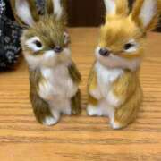 ヒメ日記 2025/04/12 06:46 投稿 らん タレントCLUB