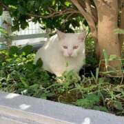 ヒメ日記 2025/05/11 17:58 投稿 らん タレントCLUB