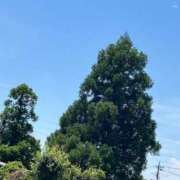 ヒメ日記 2025/06/22 18:18 投稿 らん タレントCLUB