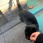 ヒメ日記 2025/06/24 13:04 投稿 らん タレントCLUB