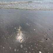 ヒメ日記 2025/07/21 05:56 投稿 らん タレントCLUB