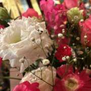 ヒメ日記 2025/07/24 23:01 投稿 らん タレントCLUB