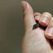 ヒメ日記 2025/07/25 02:34 投稿 らん タレントCLUB